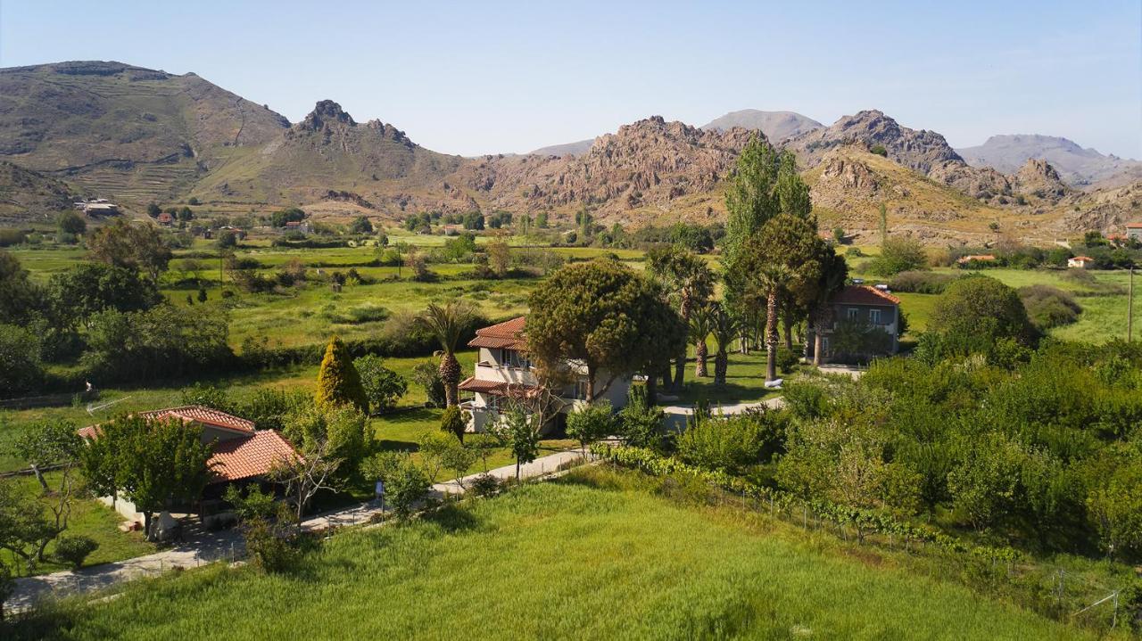 Heliotopos سكالا إيريسو المظهر الخارجي الصورة